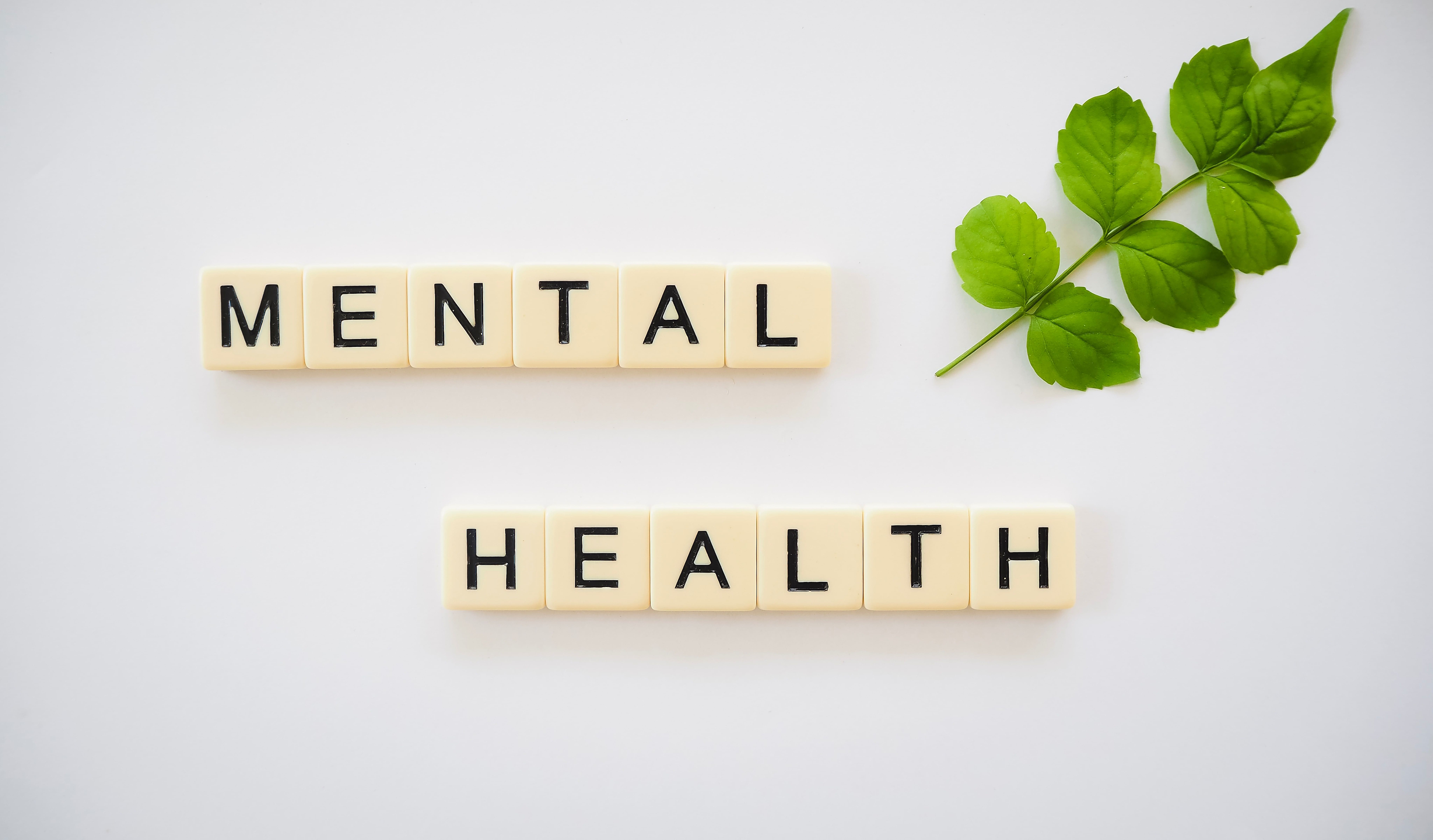 Mental Health Strategies for Small Business Owners
