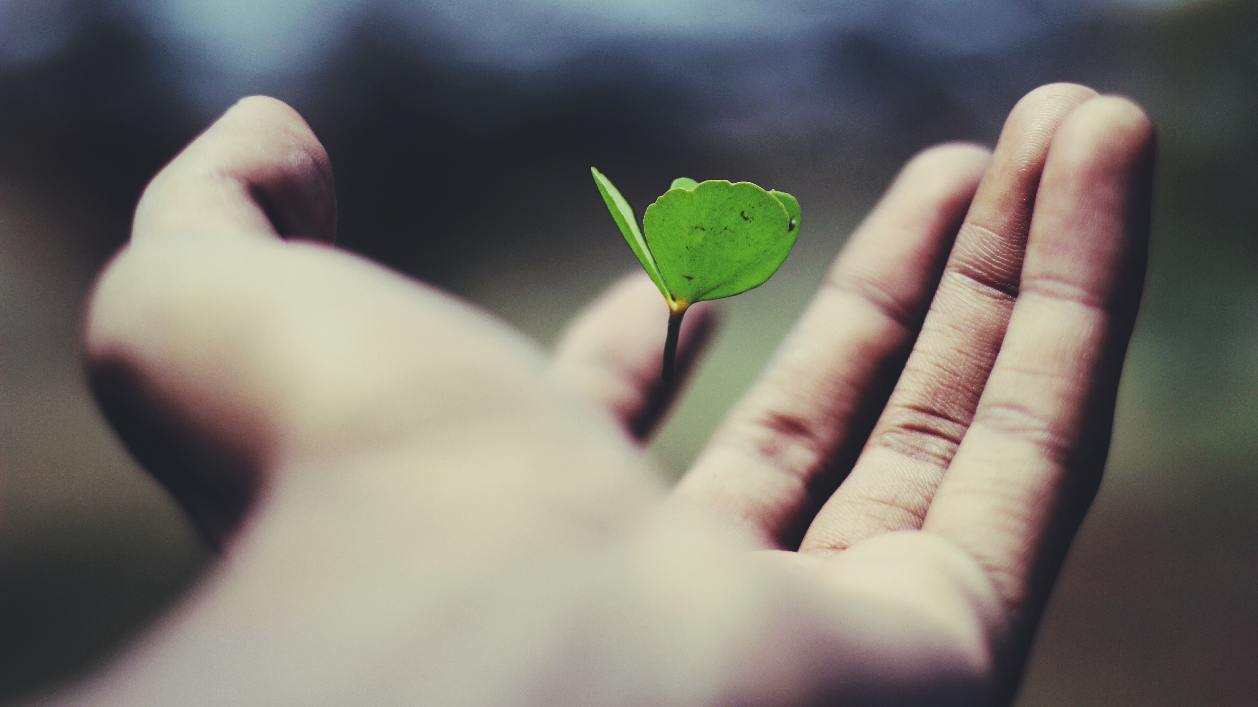 How to Create a Blog to Drive Business Growth