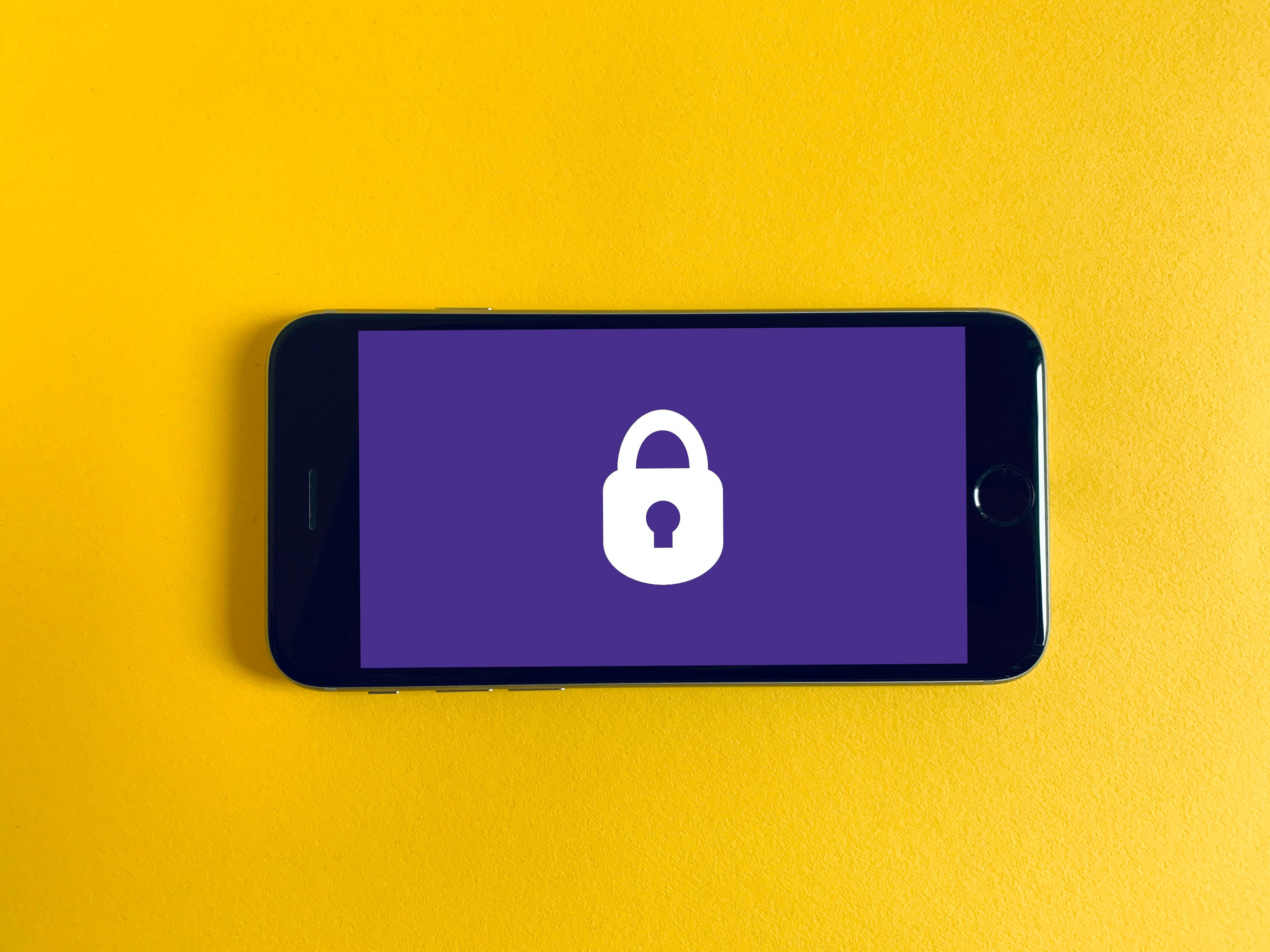 Creating a Data Security Plan for Startups