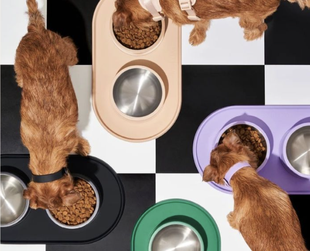 How to open a pet shop in Portugal