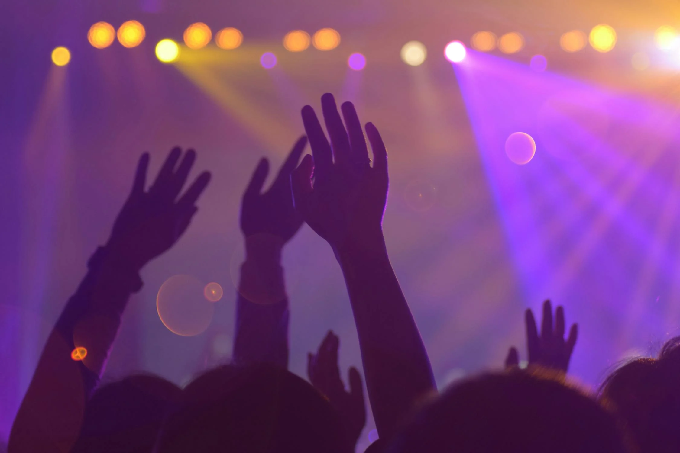 How to open a Night Club in Portugal 