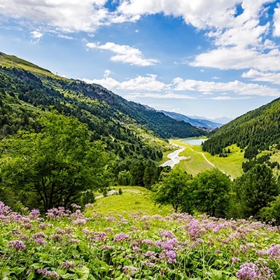 parc-national