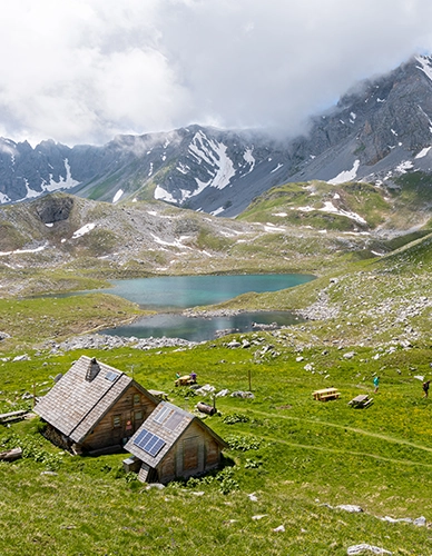 lac-merlets