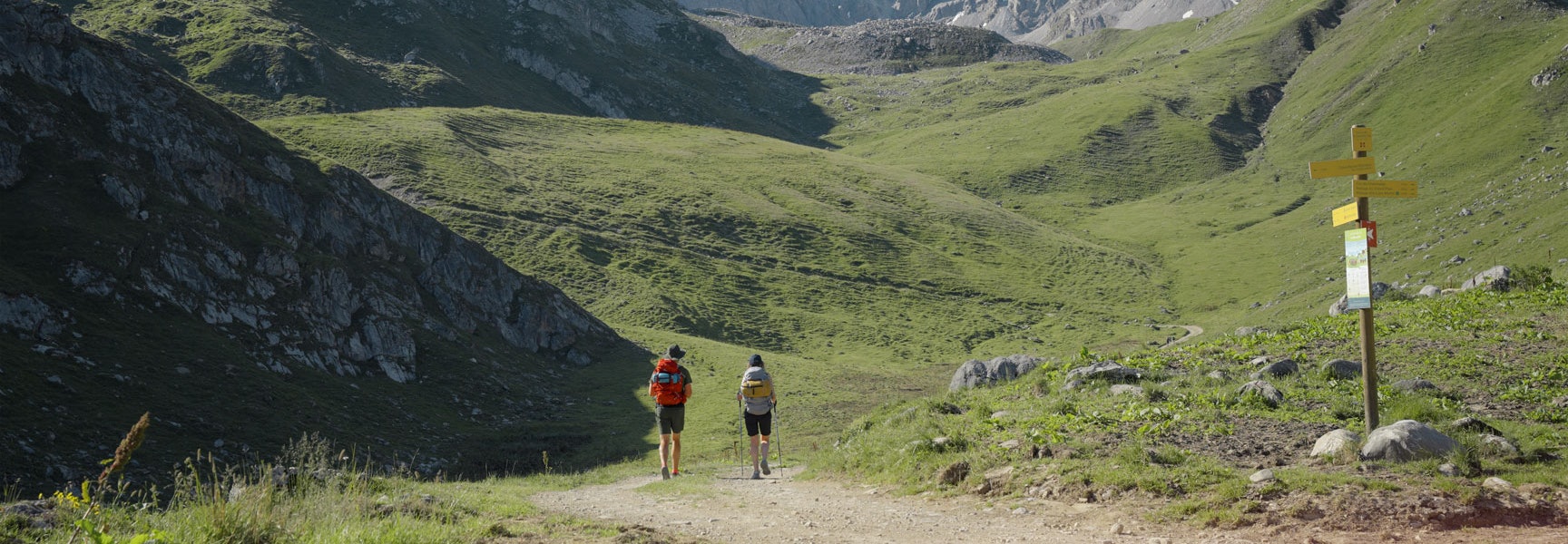 Pedestrian+Summer pass