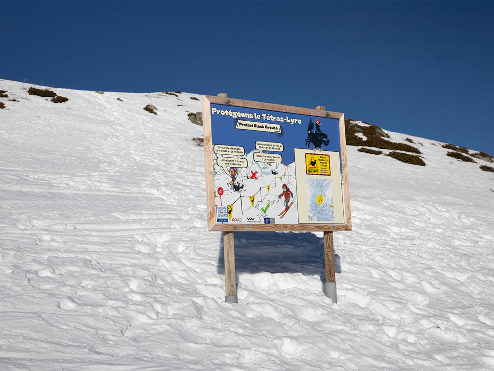 Panneau illustrant la préservation du tétras-lyre sur le secteur de l'Aiguille du fruit à Courchevel