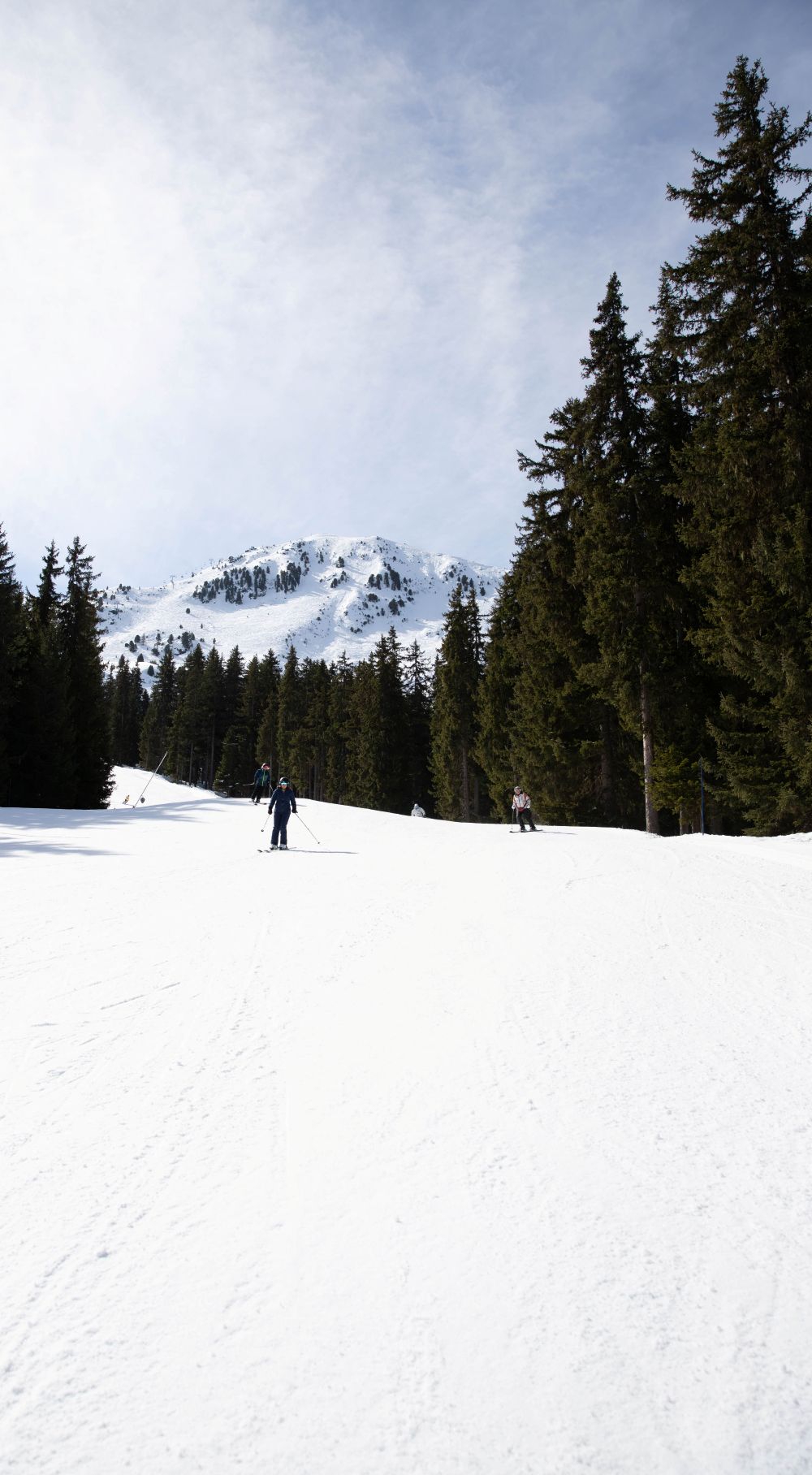 Two skiers, seen from a distance, ski down a slope surrounded by fir trees. In the background, a snow-covered mountain.