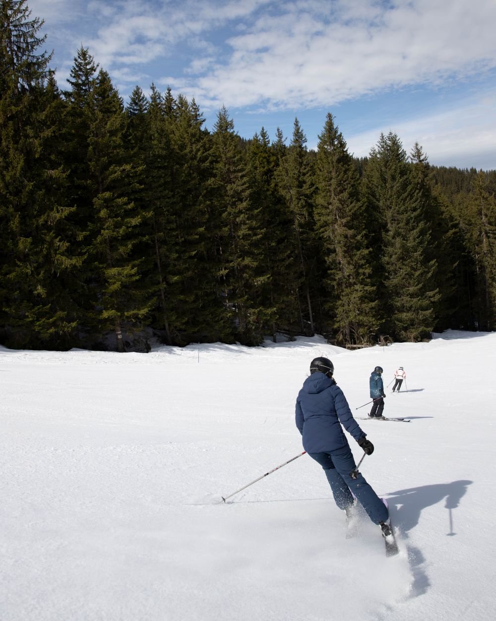 Three skiers are skiing down a slope, flanked by an acacia forest beneath a blue sky