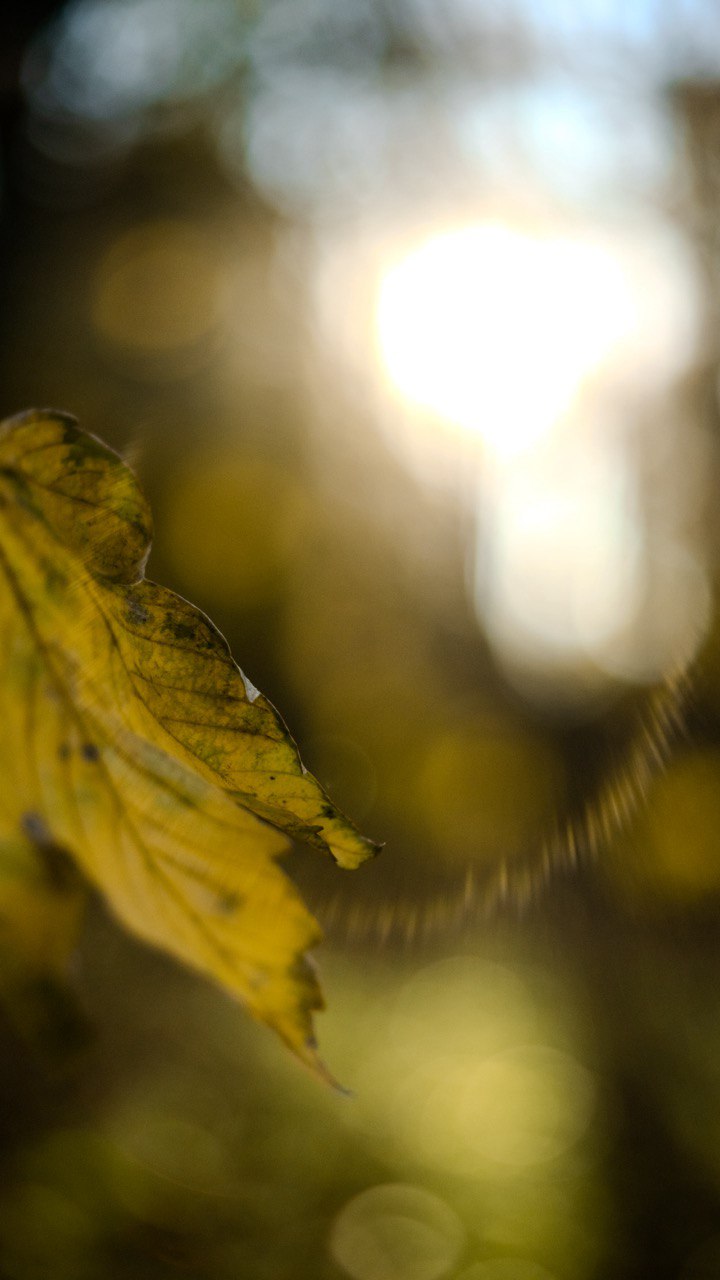 https://www.datocms-assets.com/104294/1737981503-photo_2025-01-27_14-37-46.jpg