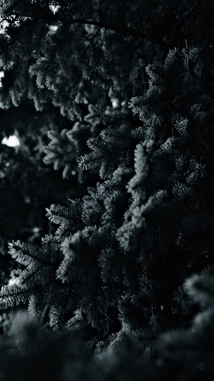 https://www.datocms-assets.com/104294/1737981552-photo_2025-01-27_14-37-13.jpg