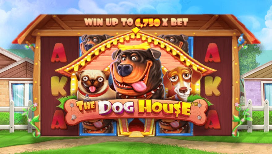 como jugar the dog house