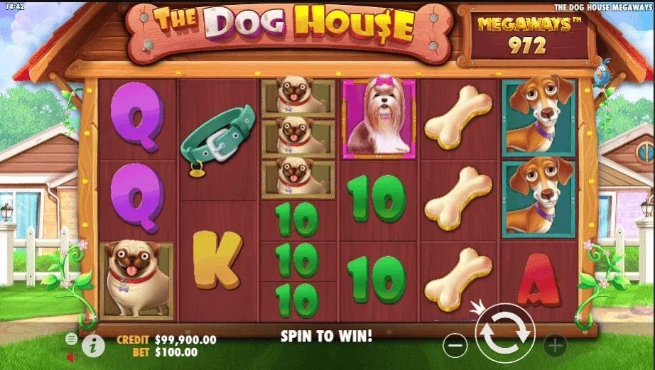 ganar en the dog house