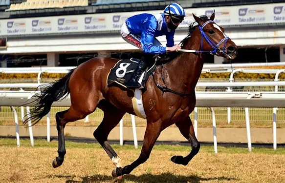 como apostar a los caballos