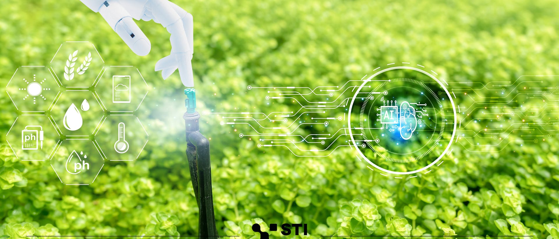 Automation and sustainability