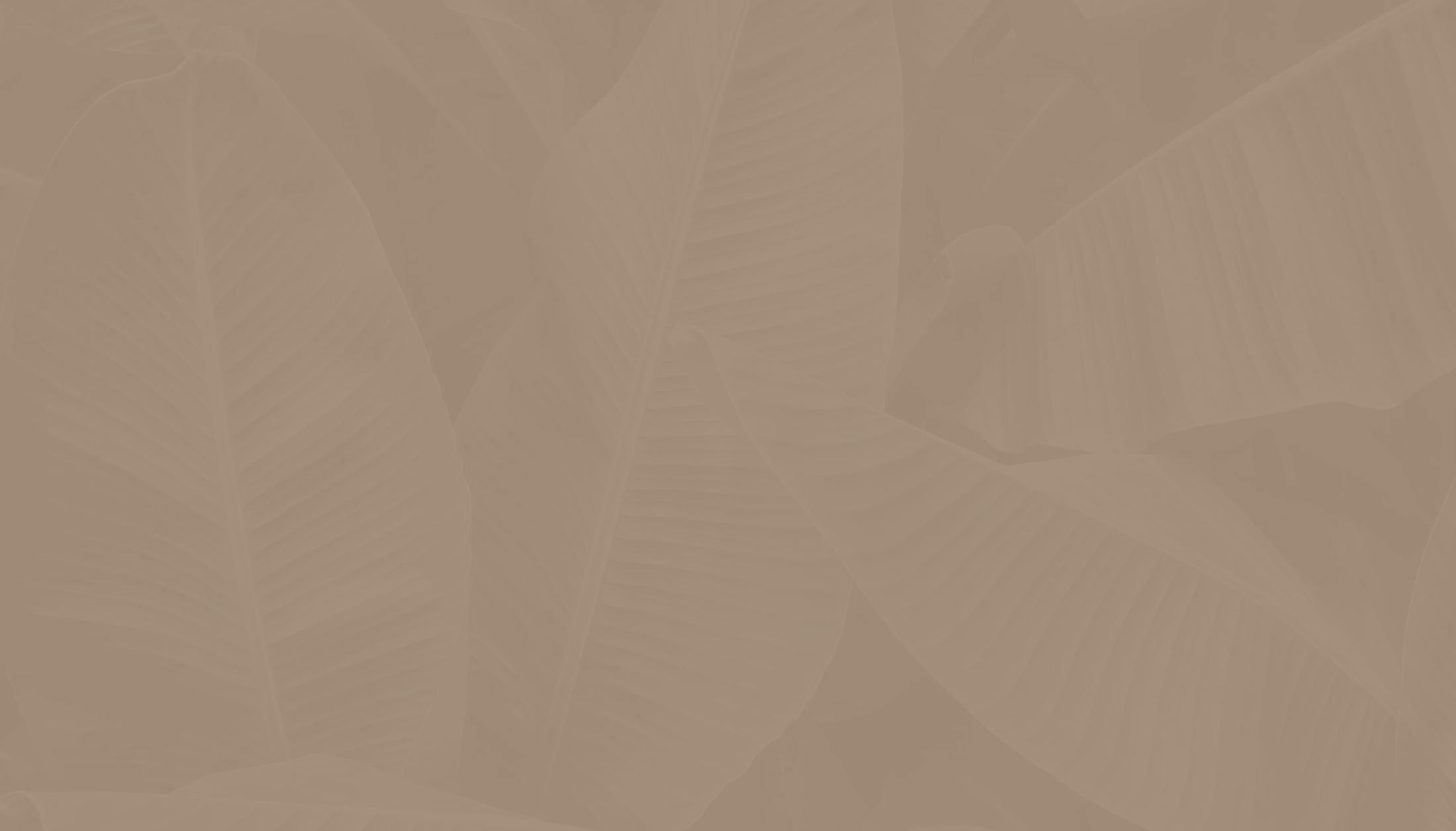 Leaves Background