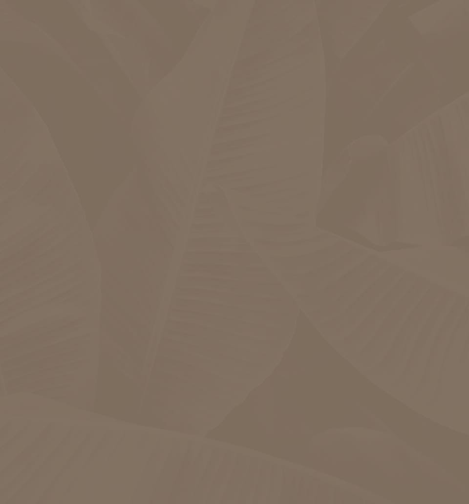 Leaves Background