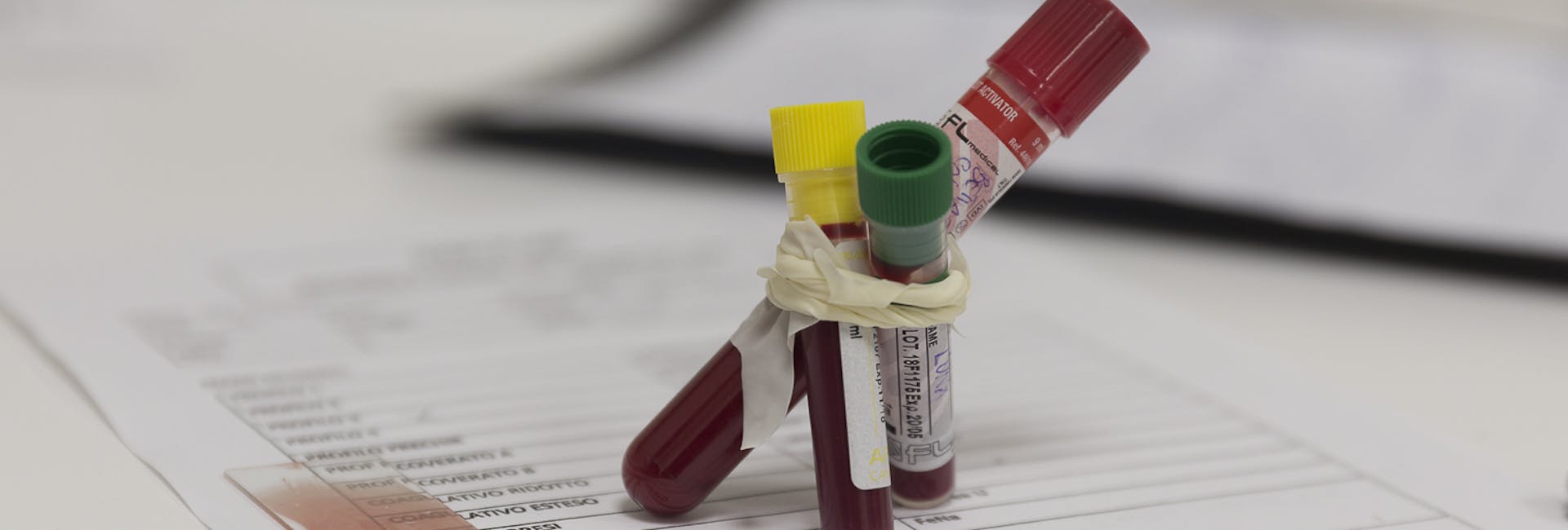 provettesanguecane provettesanguecane