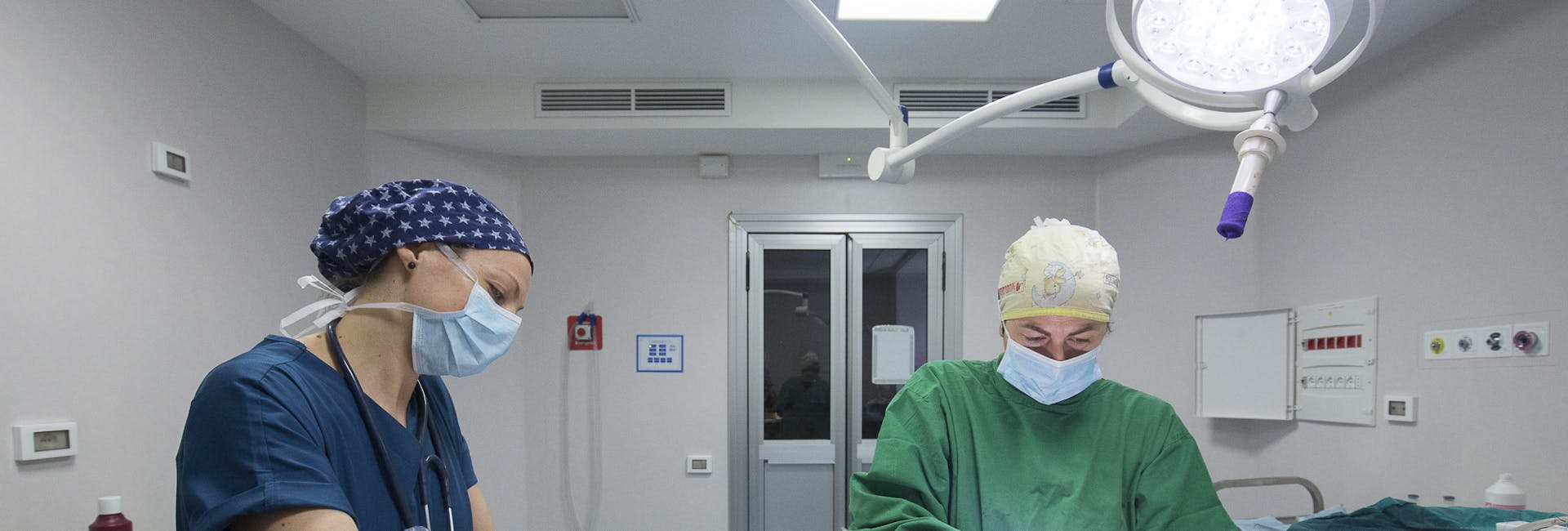 veterinari operano ai denti un gatto veterinari operano ai denti un gatto
