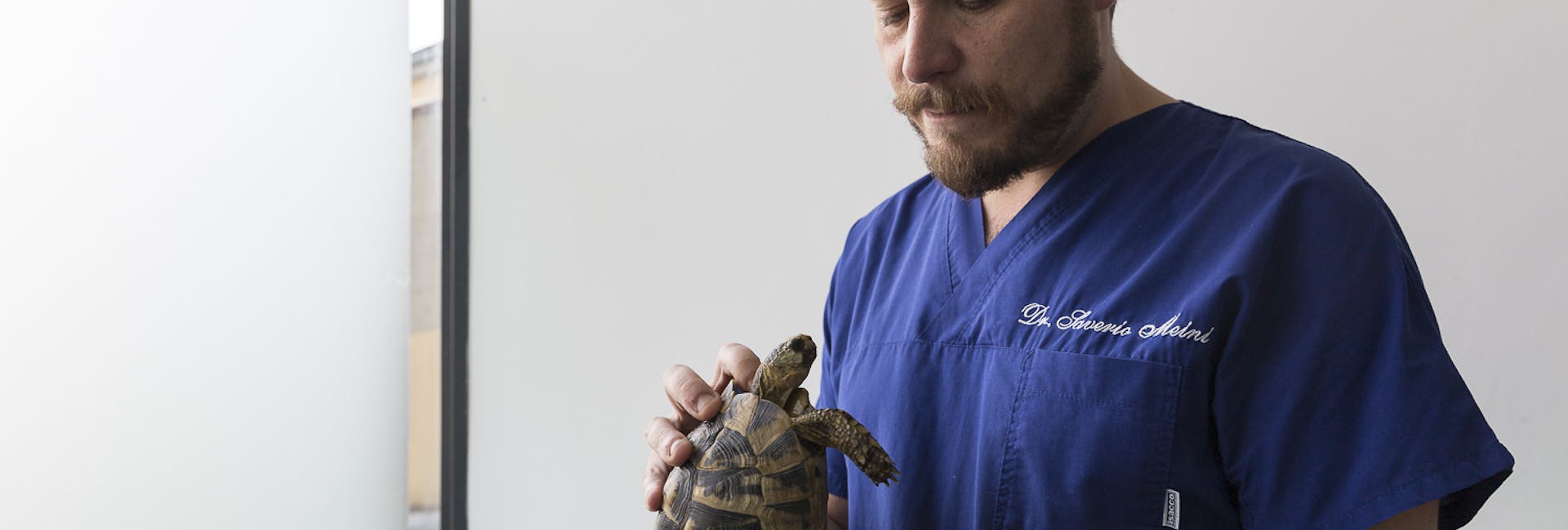 meini-e-tartaruga meini-e-tartaruga