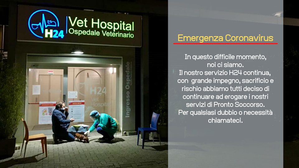 Vet Hospital Veterinary center H24 Florence