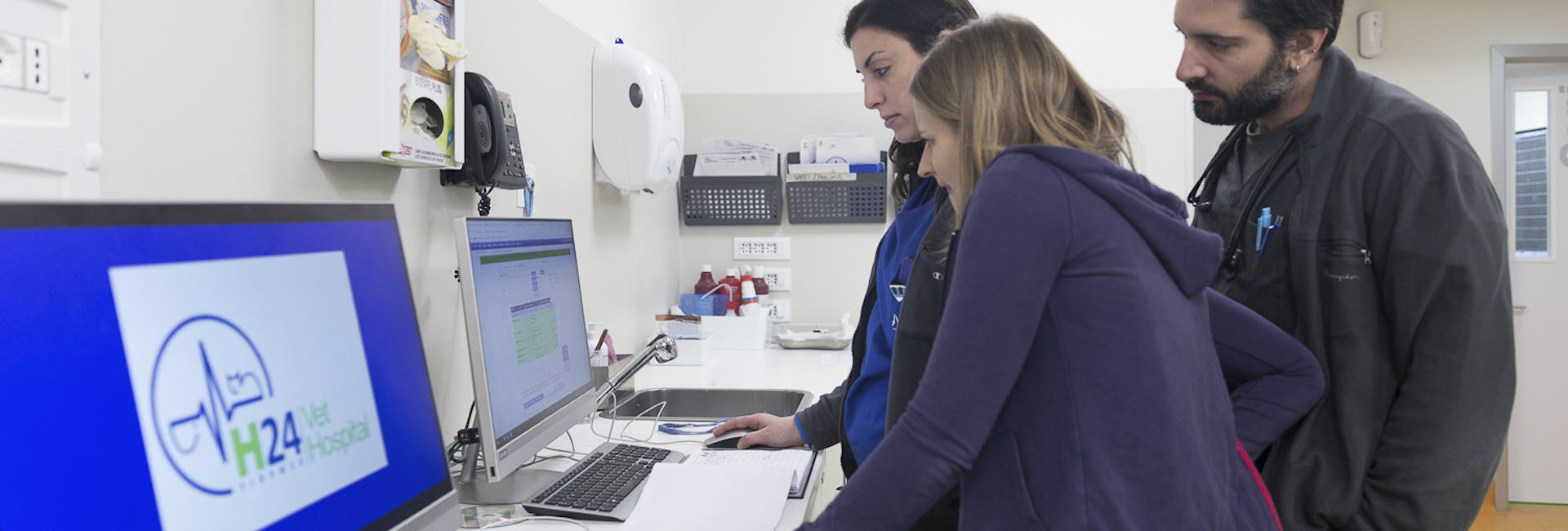 tre medici veterinari guardano analisi di pet al computer tre medici veterinari guardano analisi di pet al computer al vet Hospital H24 Firenze