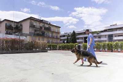 medico veterinario che porta a spasso un cane nel cortile interno della clinica veterinaria Vet Hospital H24 Firenze