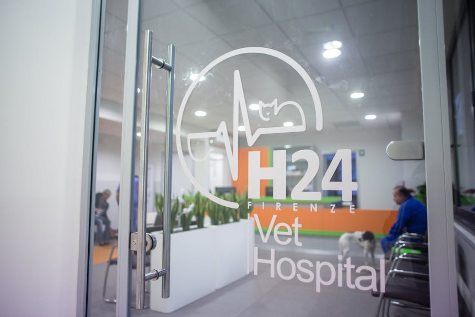 VetHospital H24 immagine di ingresso alla sala d'aspetto