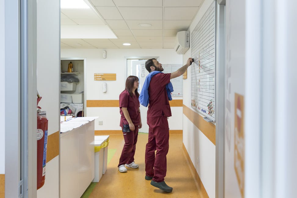 Il Team del Vet Hospital H24 Firenze