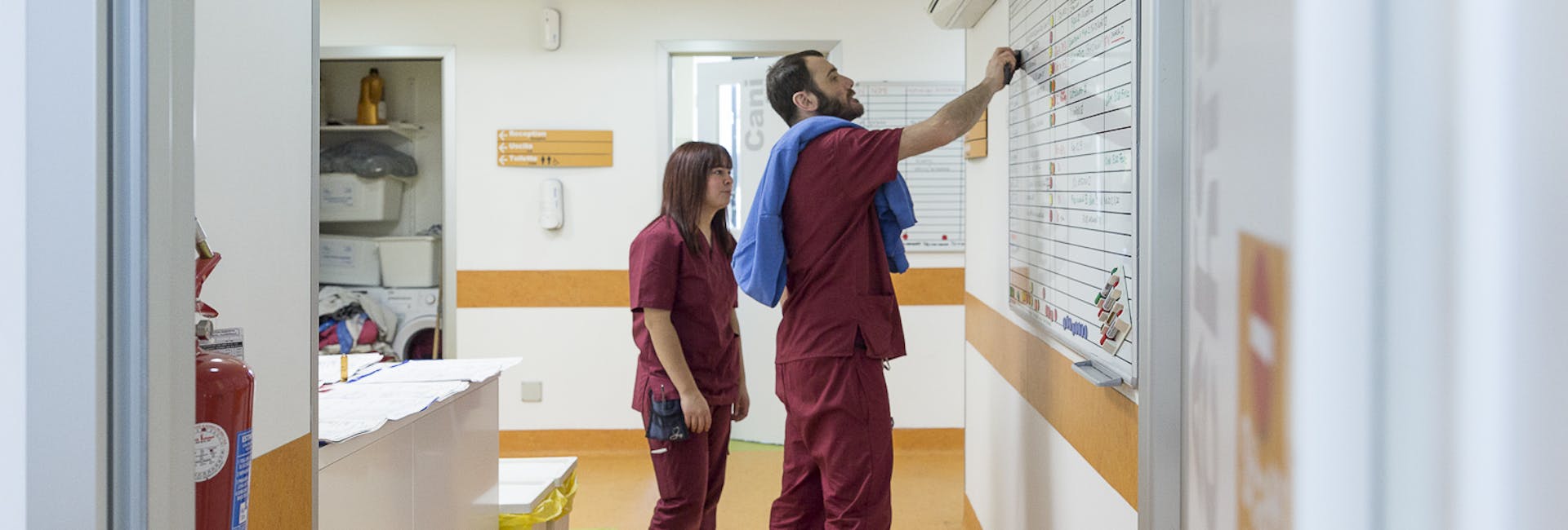 Il Team del Vet Hospital H24 Firenze Il Team del Vet Hospital H24 Firenze