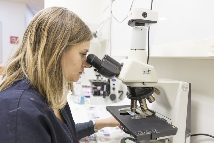 Medico Veterinario analizza vetrino nel laboratorio del Vet Hospital H24 Firenze