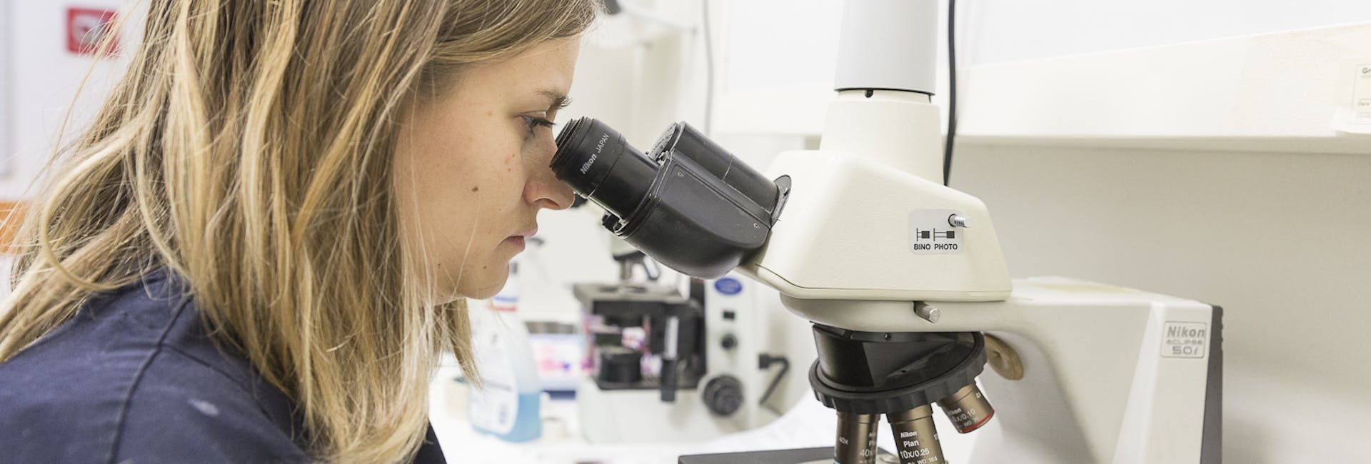 Medico Veterinario analizza vetrino nel laboratorio del Vet Hospital H24 Firenze Medico Veterinario analizza vetrino nel laboratorio del Vet Hospital H24 Firenze