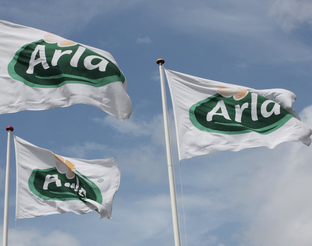 Arla vlaggen wapperend in de lucht.