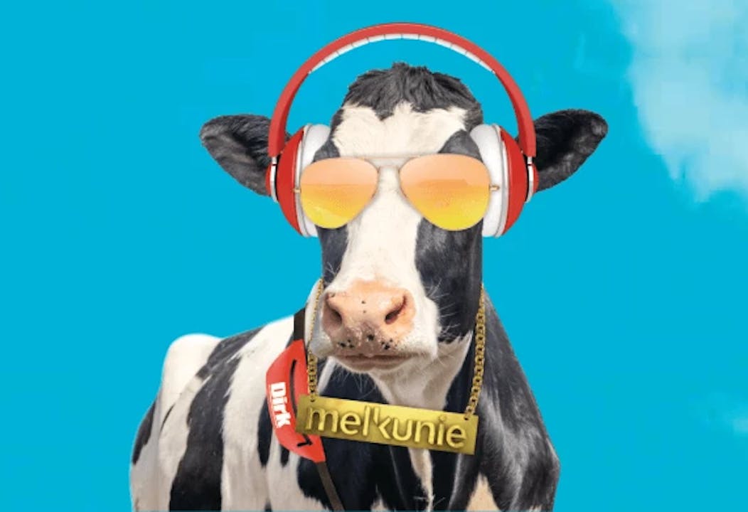 koe met zonnenbril