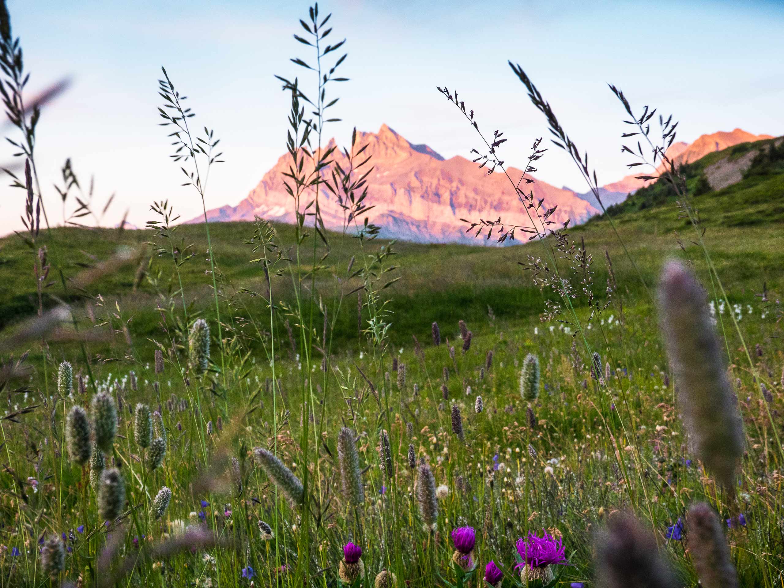 Hike around Switzerland - experience report and stages - Transa.ch