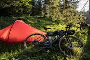 Ein Zelt im Wald, daneben liegt ein Gravelbike.