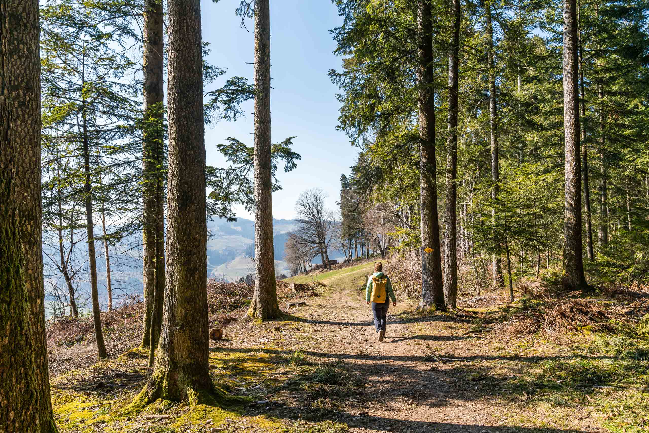 Three long-distance hiking routes in Switzerland for spring - Transa.ch