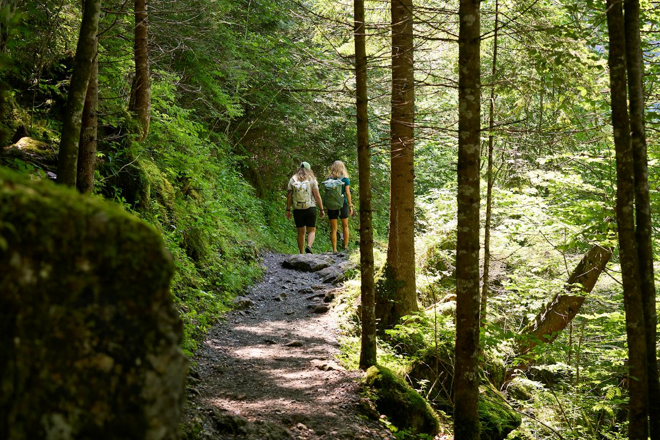 Hiking in spring: beautiful routes for a spring hike - Transa.ch
