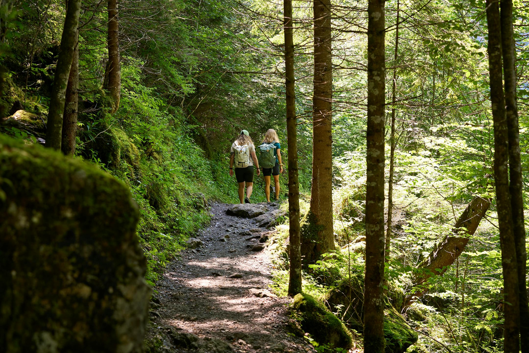 Hiking in spring: beautiful routes for a spring hike - Transa.ch