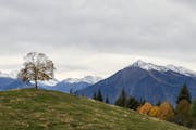 Two people on mountain bikes, going downhill, with snow-covered mountains in the background.