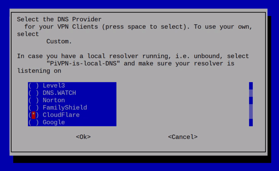 Set Up Dns Setting In Openvpn In Raspberry Pi