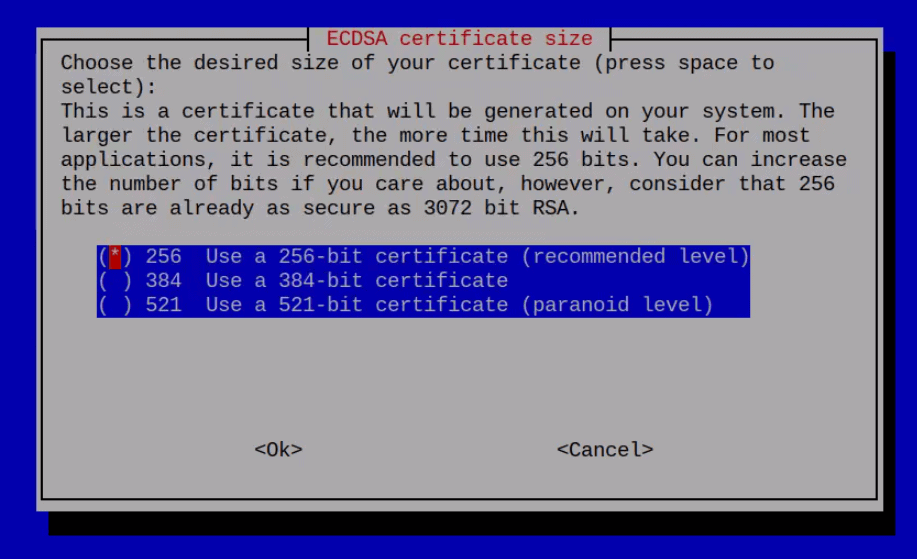 Ecdsa Certificate Key Size Set Up Wizard