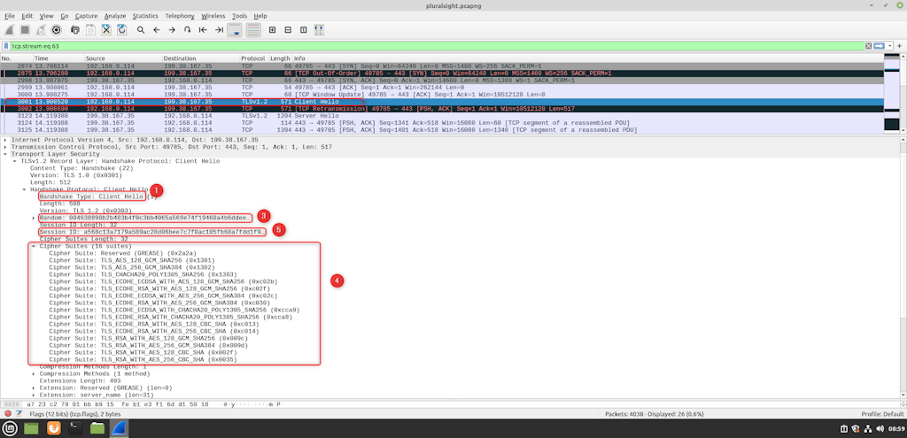 Tlsv1 2 Client Hello Paclet In Wireshark