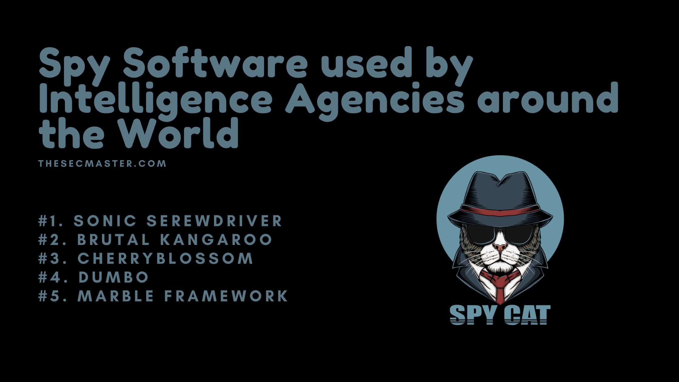 Spy Software Used By Intelligence Agencies Around The World