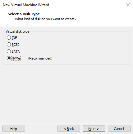 Select The Disk Type For The Vm