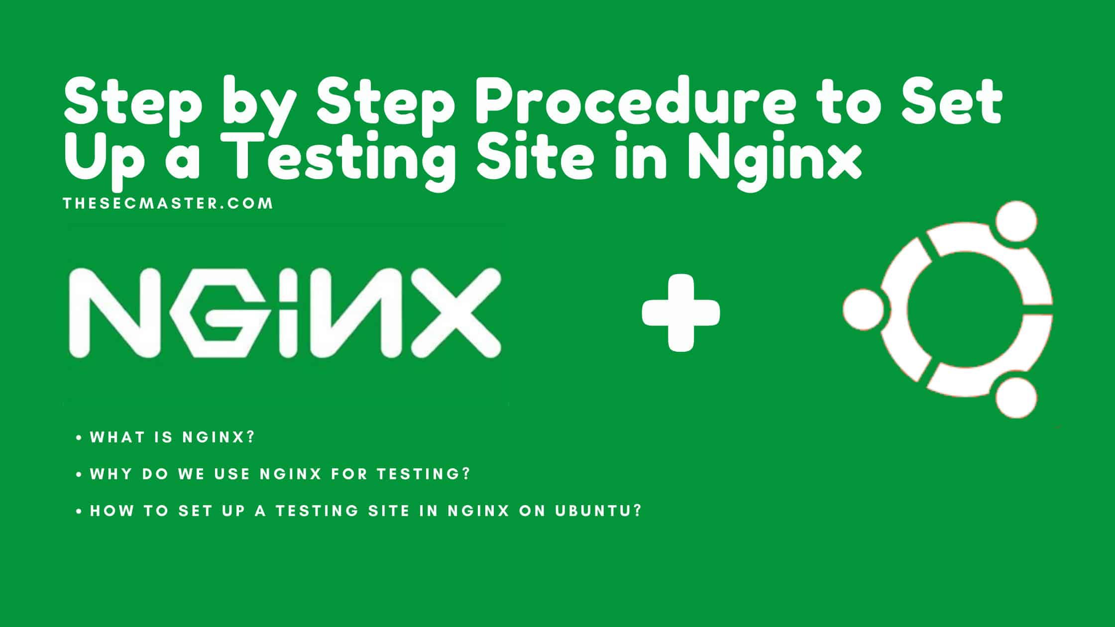 Step By Step Procedure To Set Up A Testing Site In Nginx