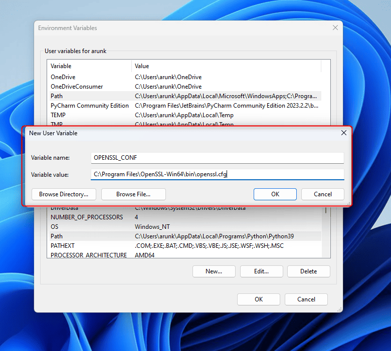 Set Openssl_conf Environment Variable For Openssl