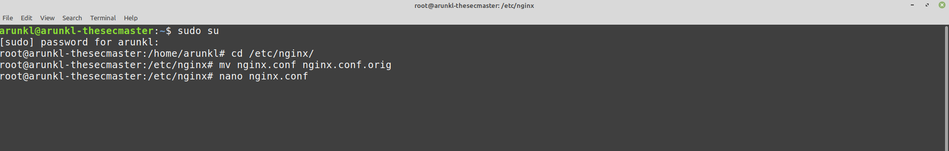 Create Nginx Config File