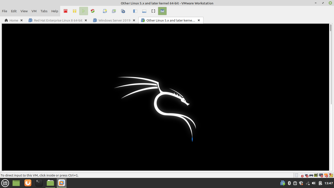 Kali Linux Loading