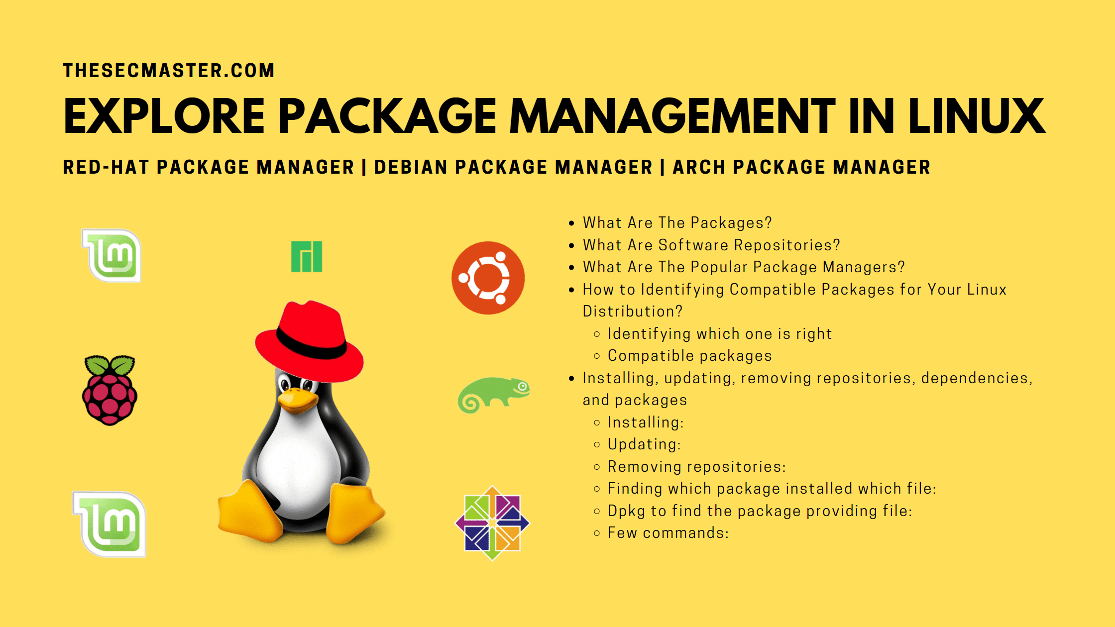 Explore Package Management In Linux