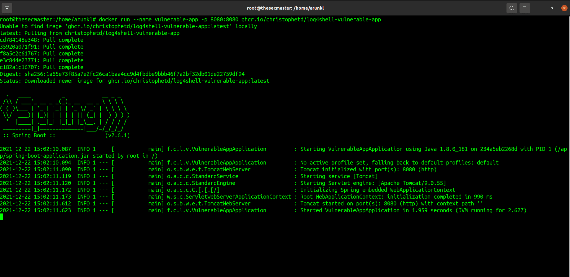 Run Log4j Vulnerable Application