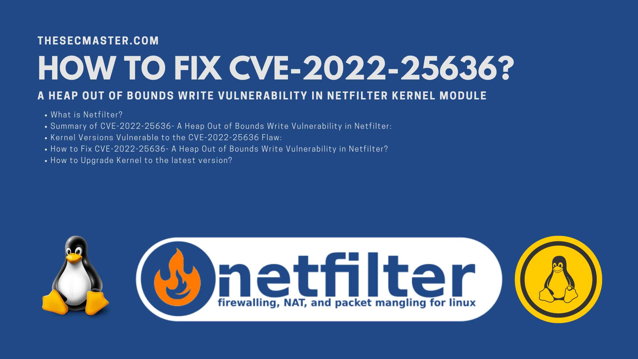 How To Fix Cve 2022 25636 A Heap Out Of Bounds Write Vulnerability In Netfilter